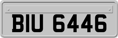 BIU6446
