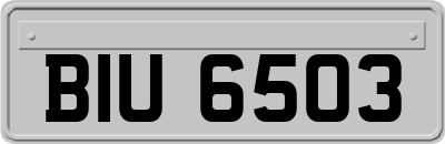 BIU6503