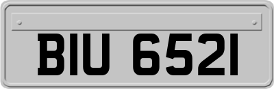 BIU6521