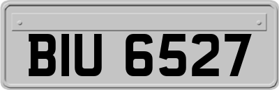 BIU6527
