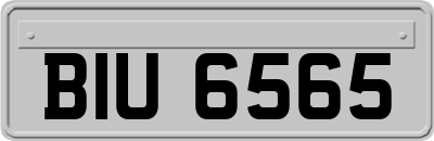 BIU6565