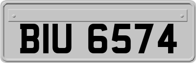 BIU6574