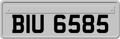 BIU6585