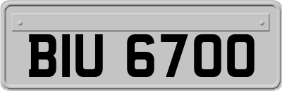 BIU6700