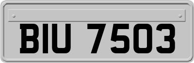 BIU7503