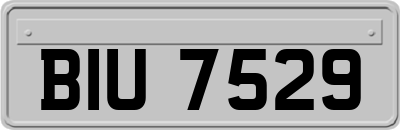 BIU7529