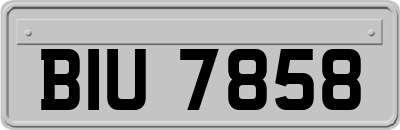 BIU7858