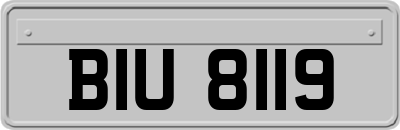 BIU8119