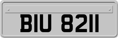 BIU8211