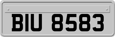 BIU8583