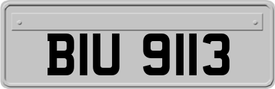 BIU9113