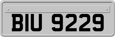 BIU9229