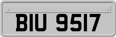 BIU9517