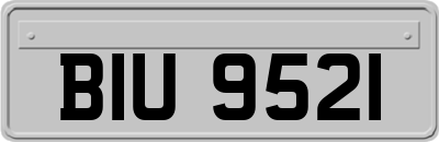 BIU9521