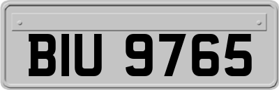 BIU9765