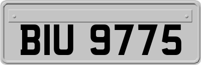 BIU9775
