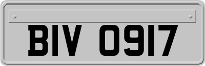 BIV0917