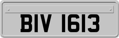 BIV1613