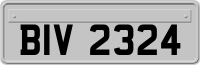 BIV2324
