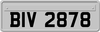 BIV2878