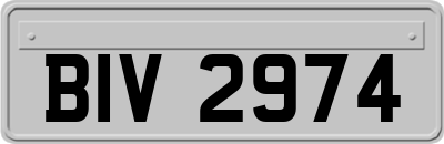 BIV2974