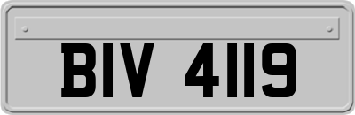 BIV4119