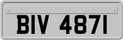 BIV4871