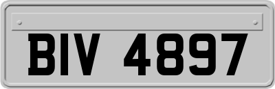 BIV4897