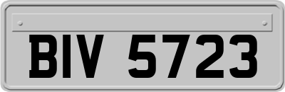 BIV5723