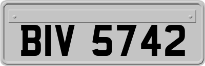 BIV5742
