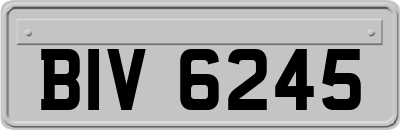 BIV6245