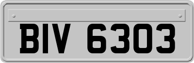 BIV6303