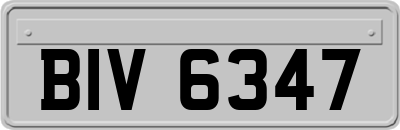 BIV6347