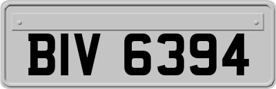 BIV6394