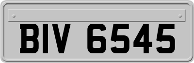 BIV6545