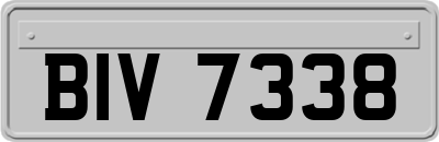 BIV7338