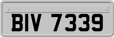 BIV7339