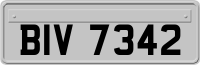 BIV7342