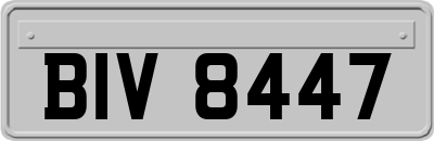 BIV8447