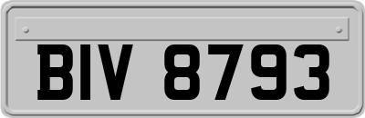 BIV8793