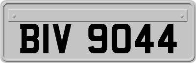 BIV9044