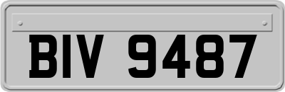 BIV9487