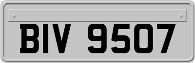 BIV9507
