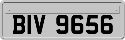 BIV9656