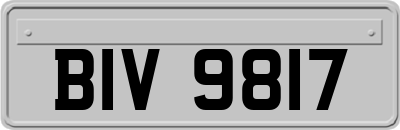 BIV9817