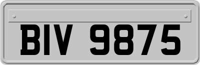 BIV9875