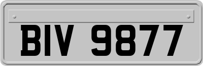 BIV9877