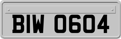 BIW0604
