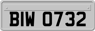 BIW0732