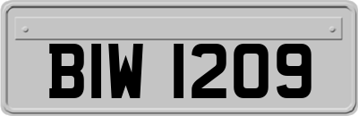 BIW1209